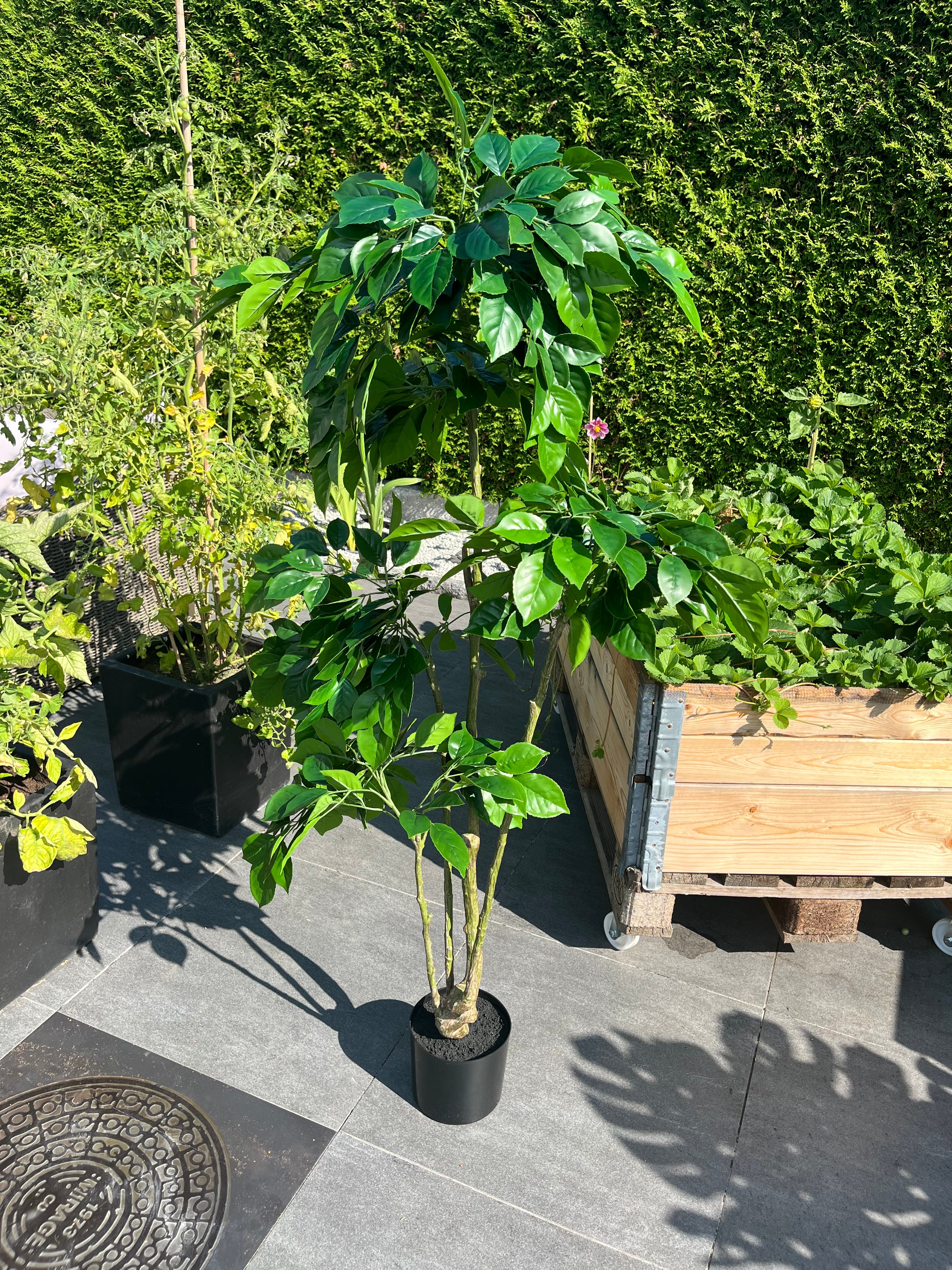 Kunstig Plante Ficus-tre Ekte Utseende
