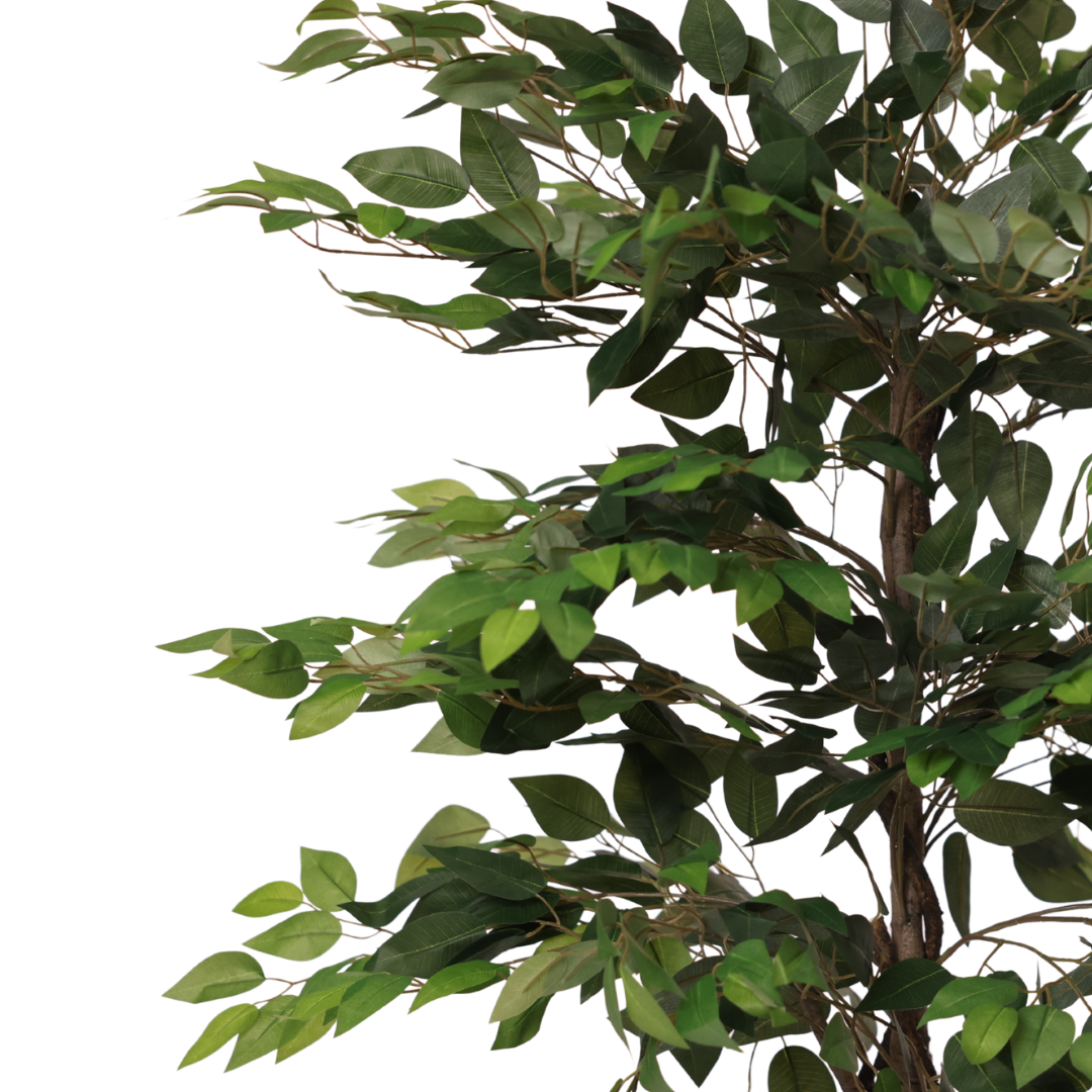 Kunstig Fikus 180 cm