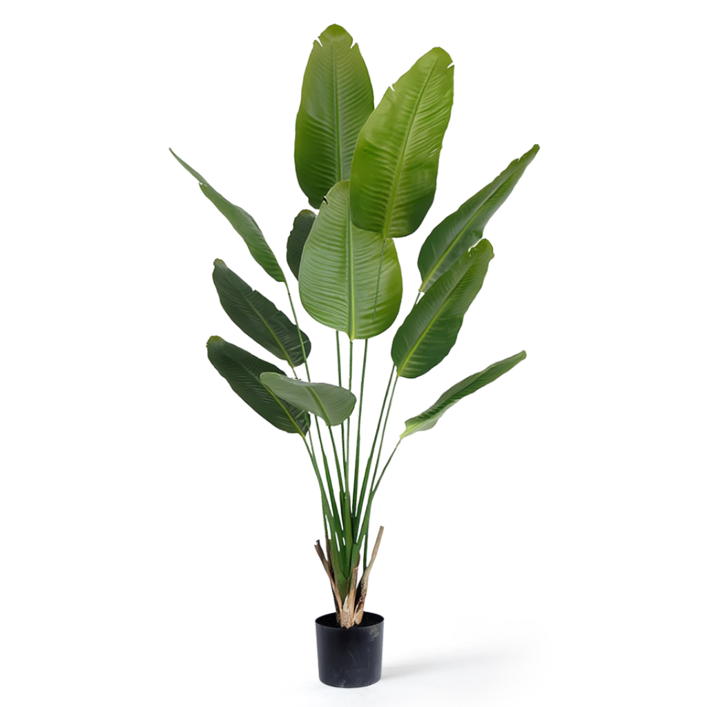 Kunstig Sterlitzia Deluxe 180 cm