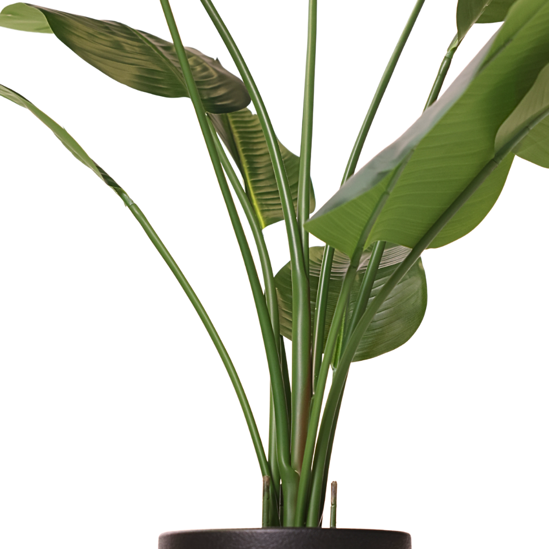 Kunstig Sterlitzia 150 cm