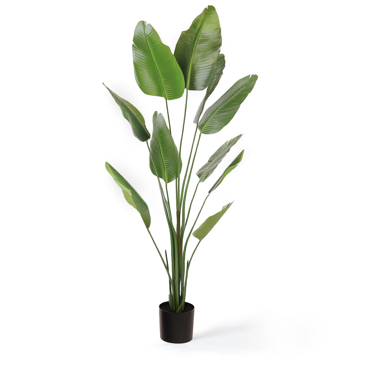 Kunstig palme – Strelitzia som gir liv til rommet