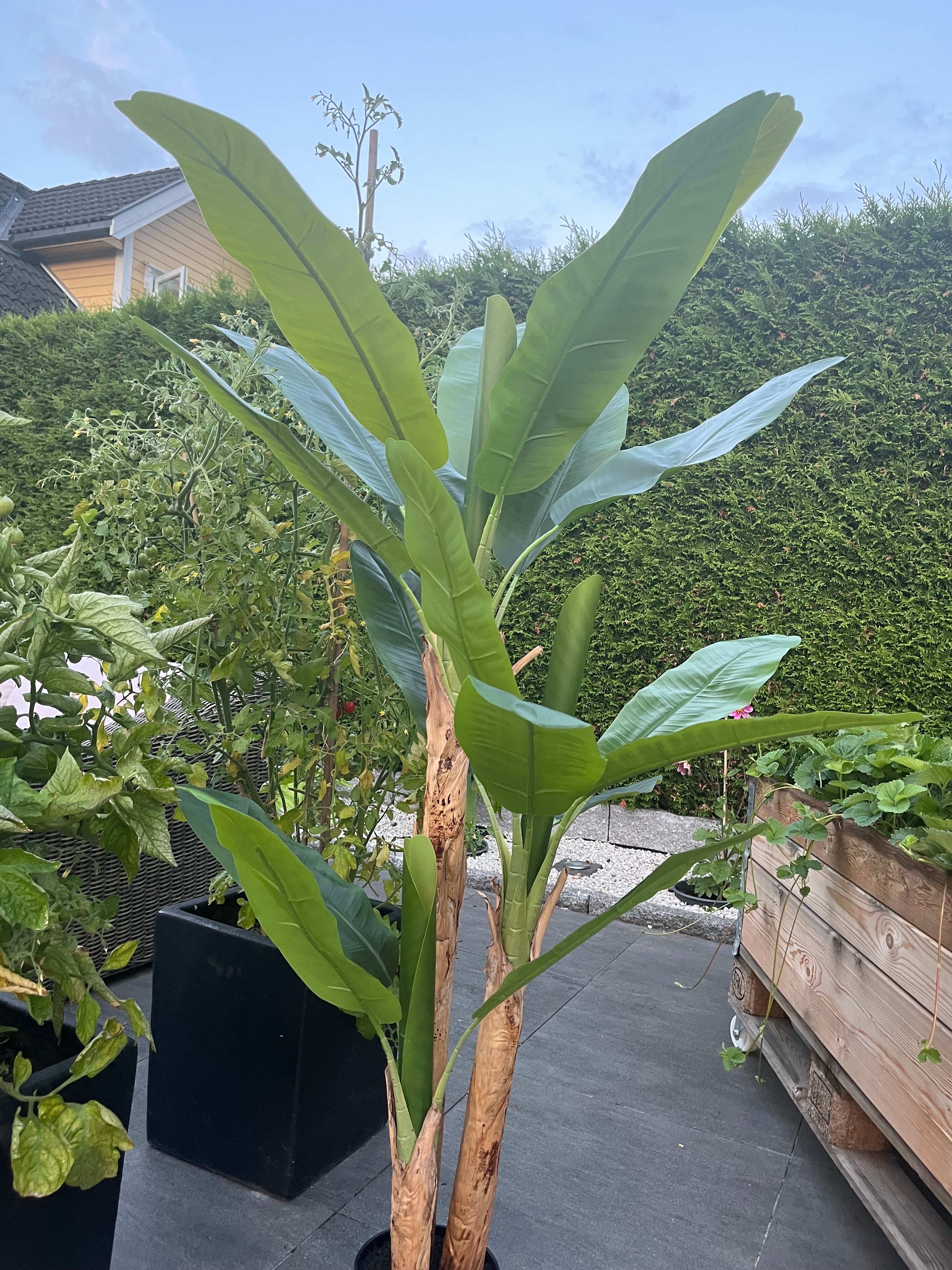 Kunstig Plante Banantre Naturtro