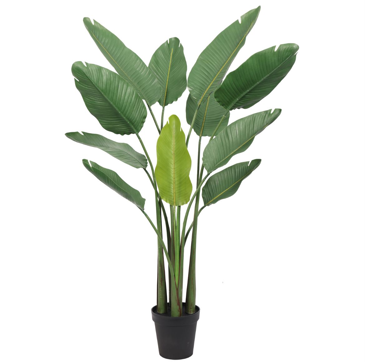 Kunstig Plante Strelitzia – UV-beskyttet og Naturtro