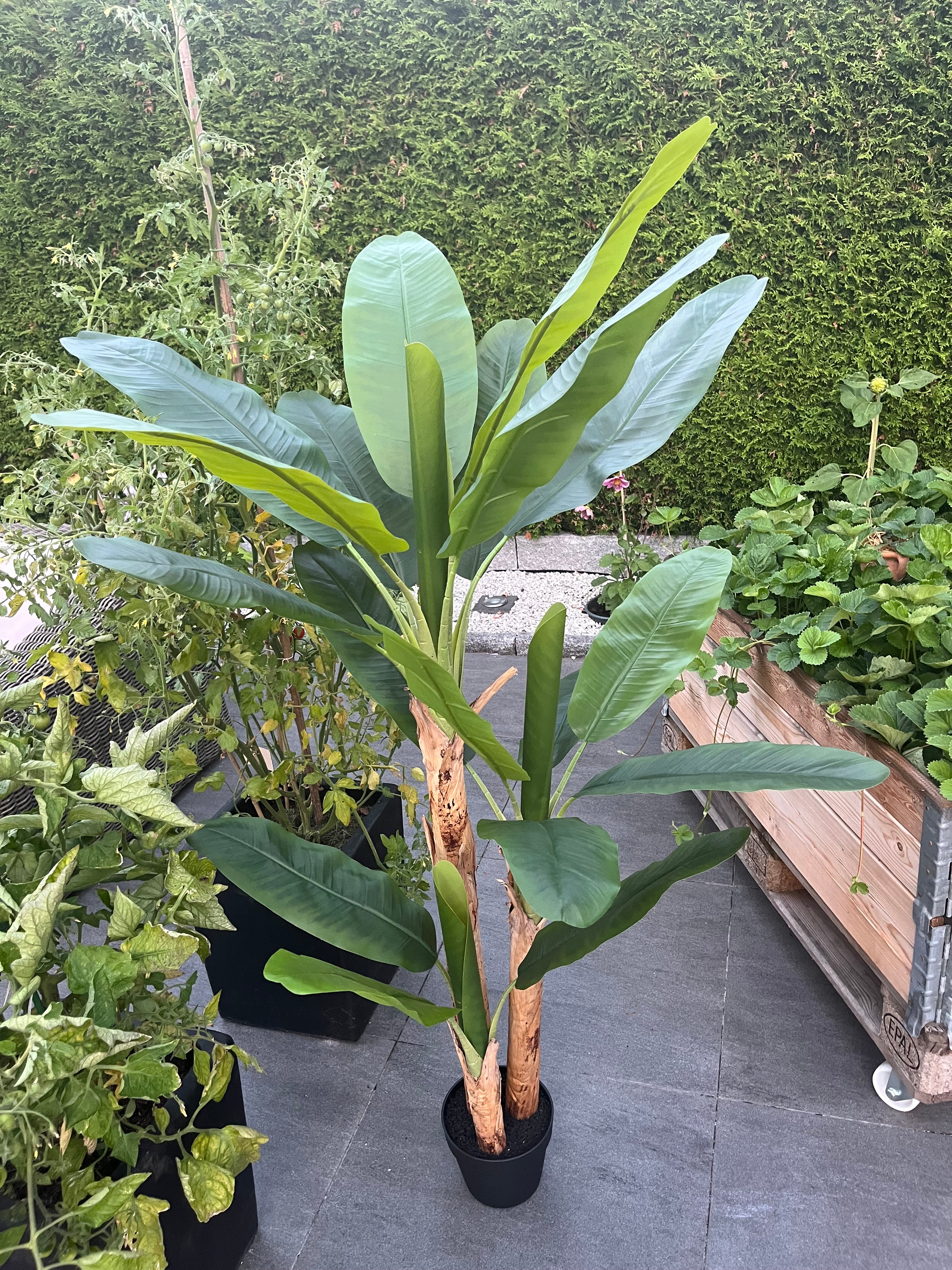Kunstig Plante Banantre Naturtro
