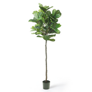 Kunstig Fiolinfiken 210 cm