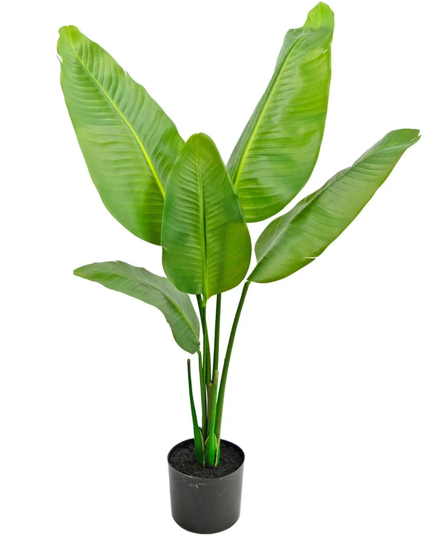 Kunstig Strelitzia