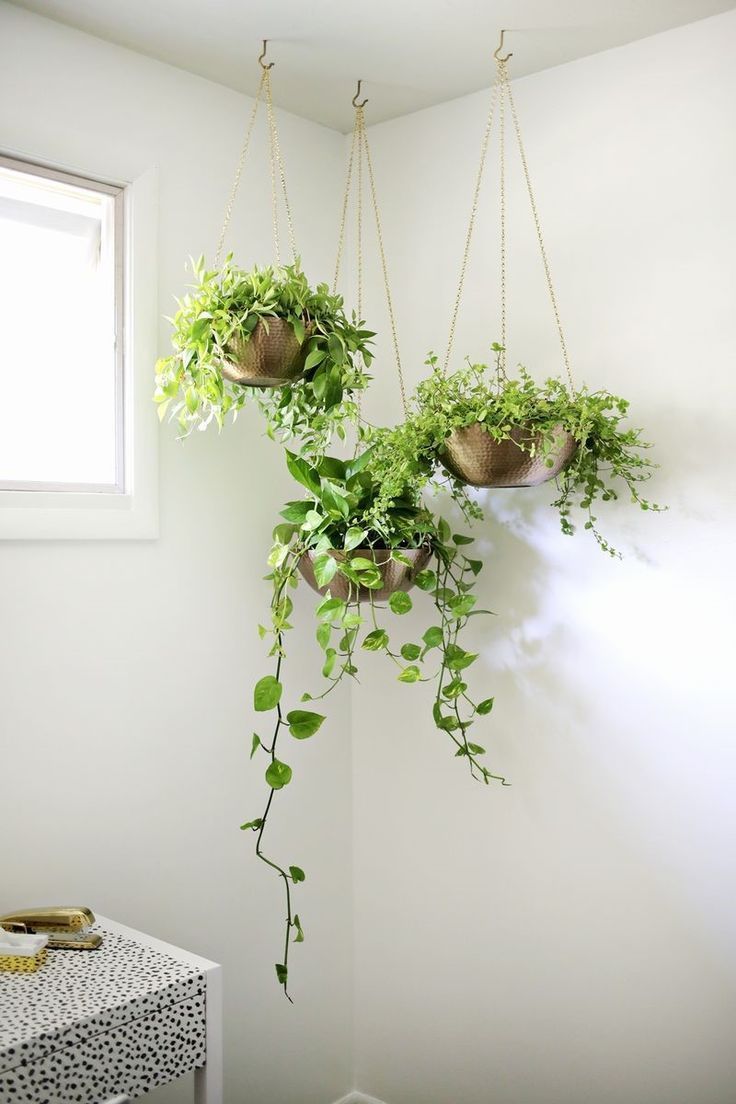 Hengeplanter