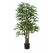 Kunstig Lady Palme