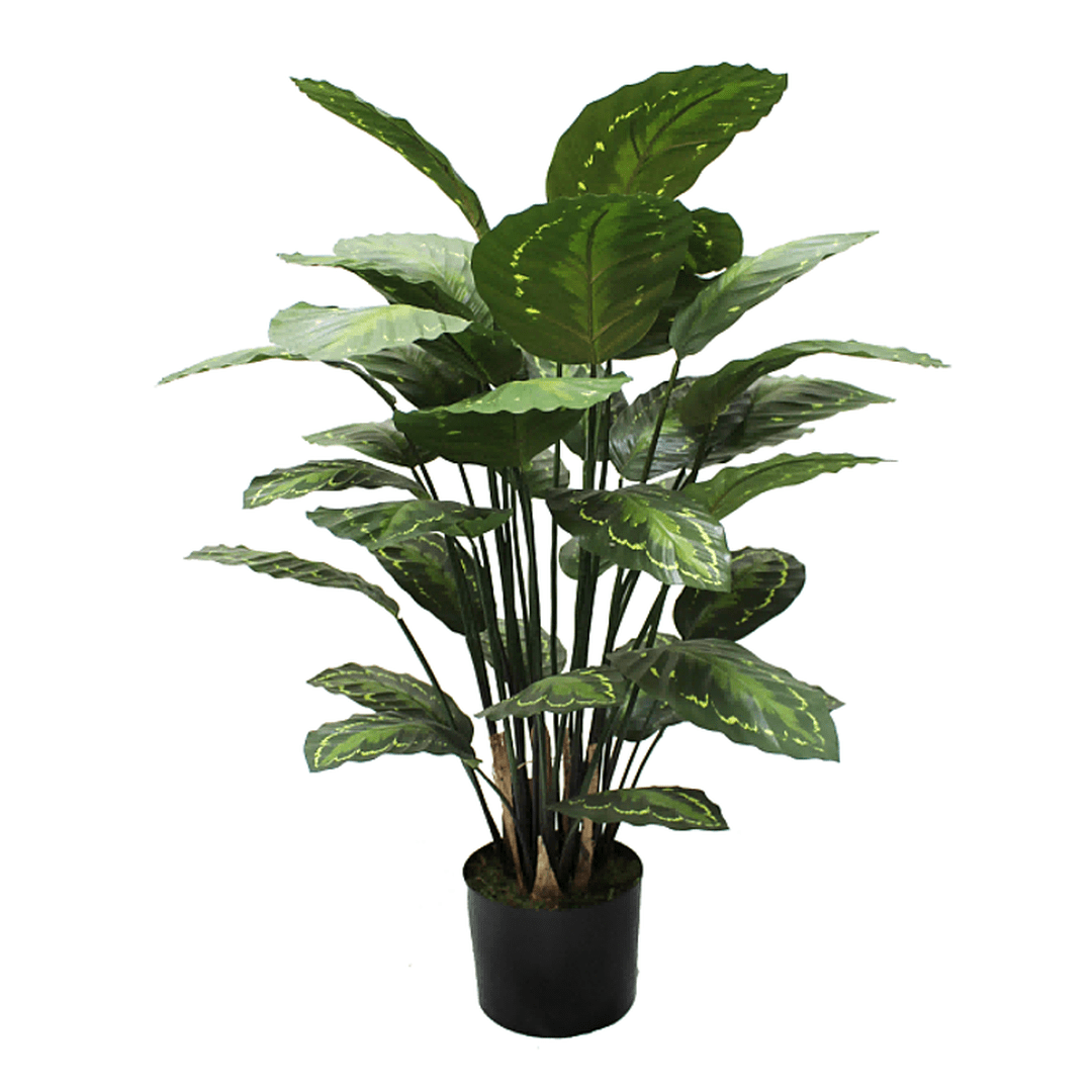 Kunstig Calathea
