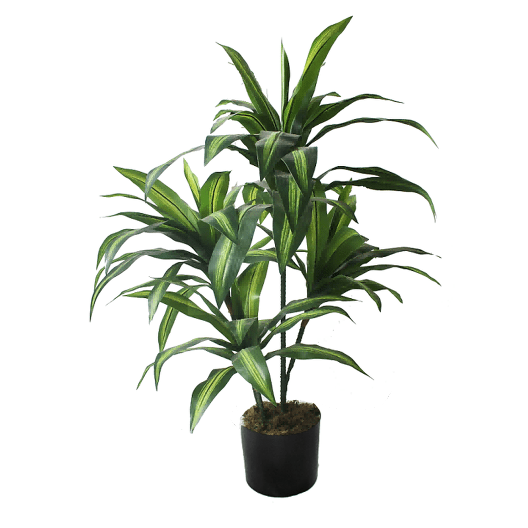Kunstig Dracaena