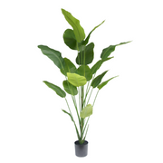 Kunstig Strelitzia 210 cm