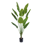 Kunstig Sterlitzia Deluxe 180 cm