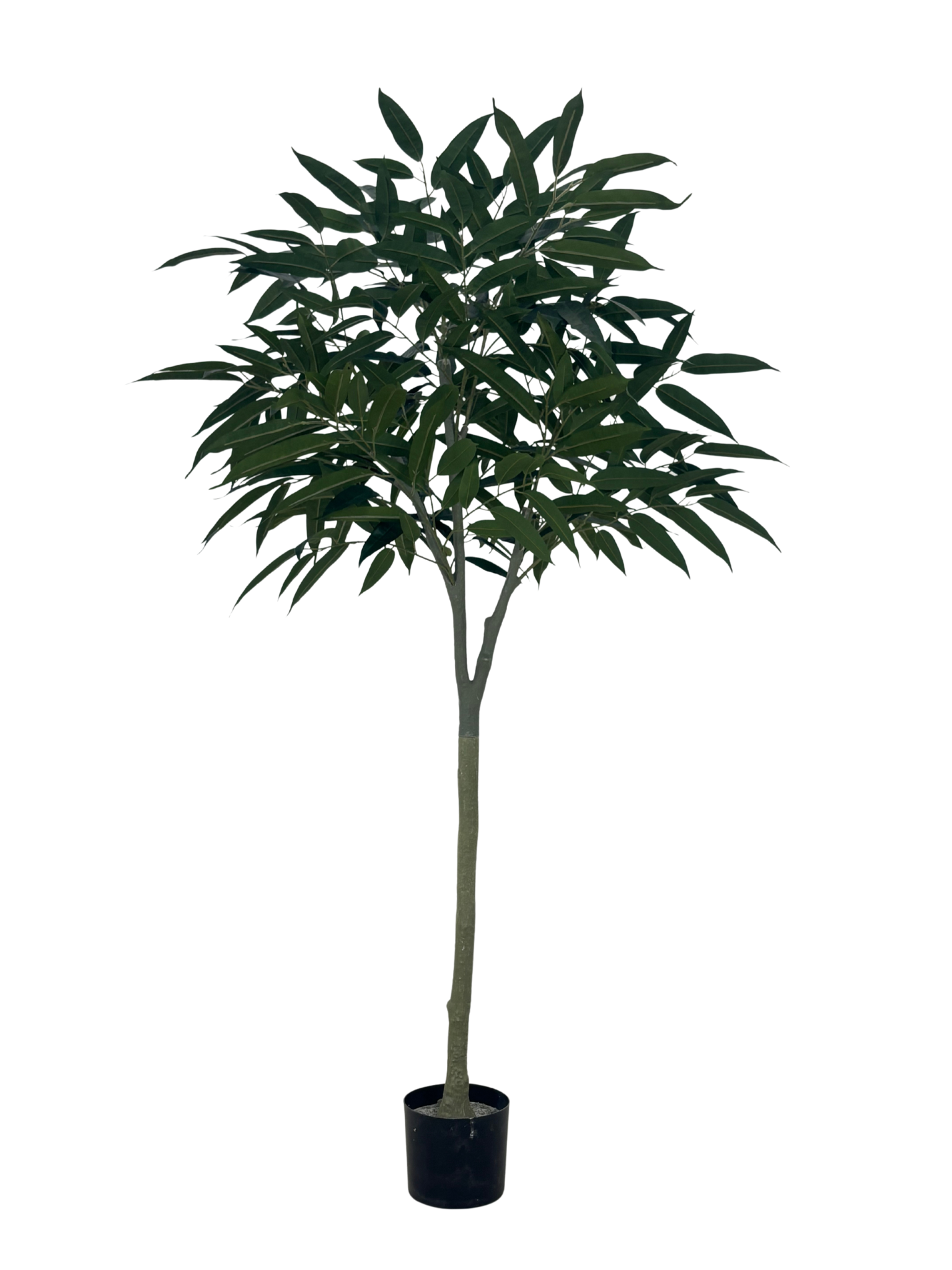 Mango banyantre 150 cm