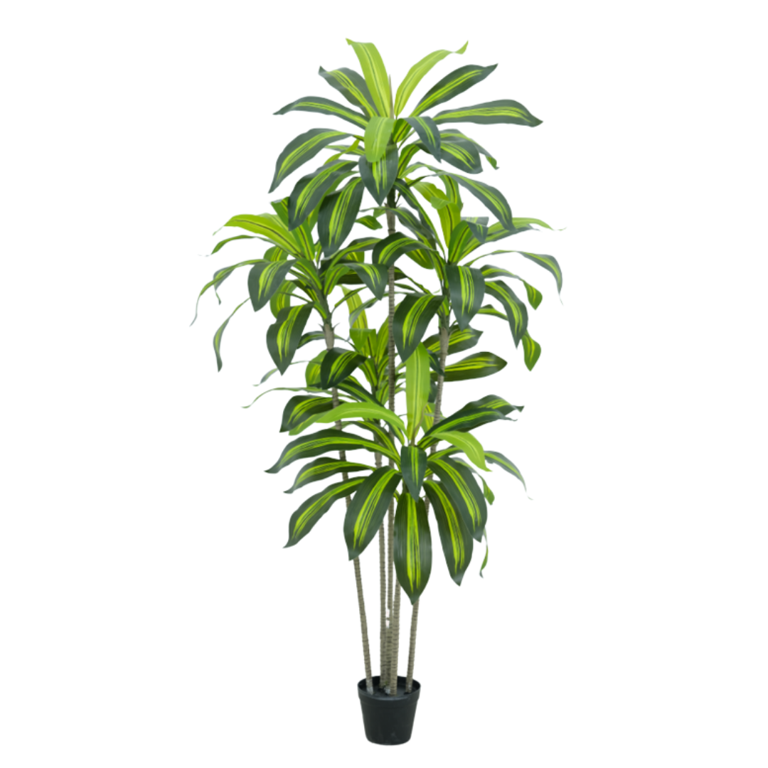 Kunstig Dracaena 160 cm