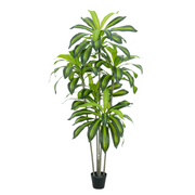 Kunstig Dracaena 160 cm