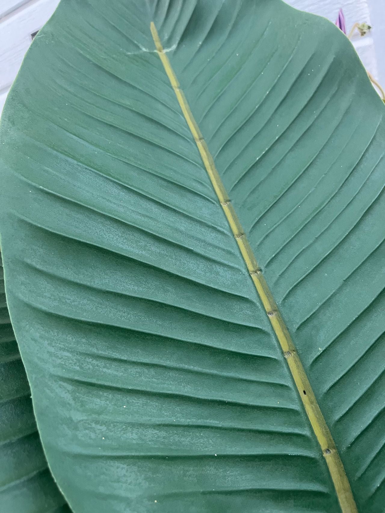 Kunstig Plante Strelitzia – UV-beskyttet og Naturtro
