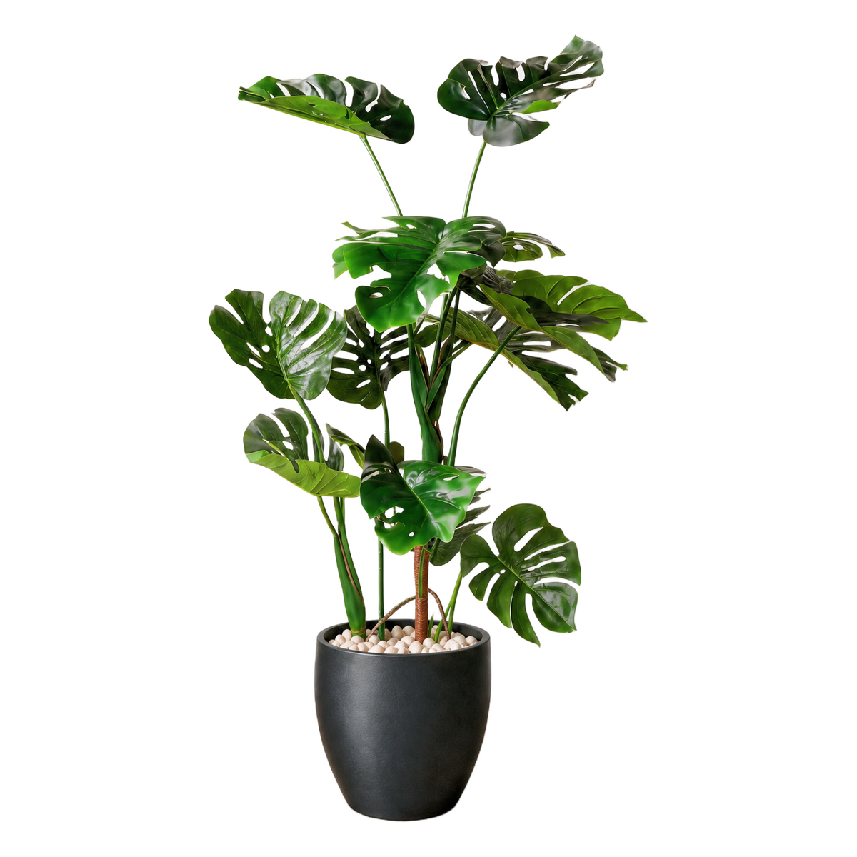 Monstera 120 cm vist i dekorpotte med dekorstein