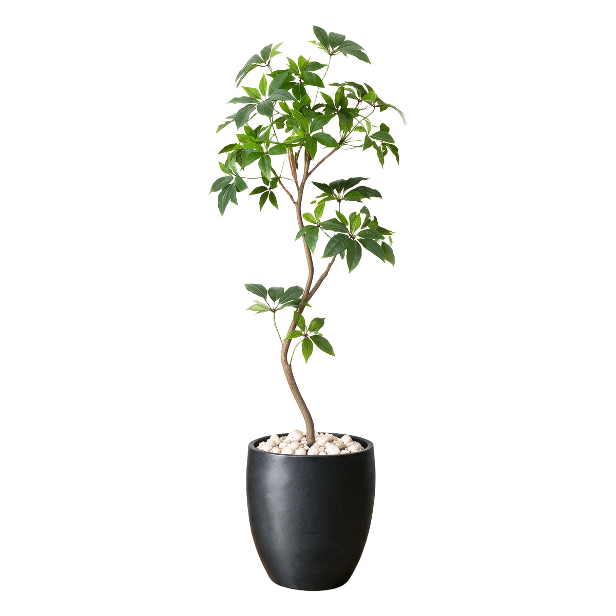 Paraply-leaf Tre 180 cm vist i dekorpotte med dekorstein