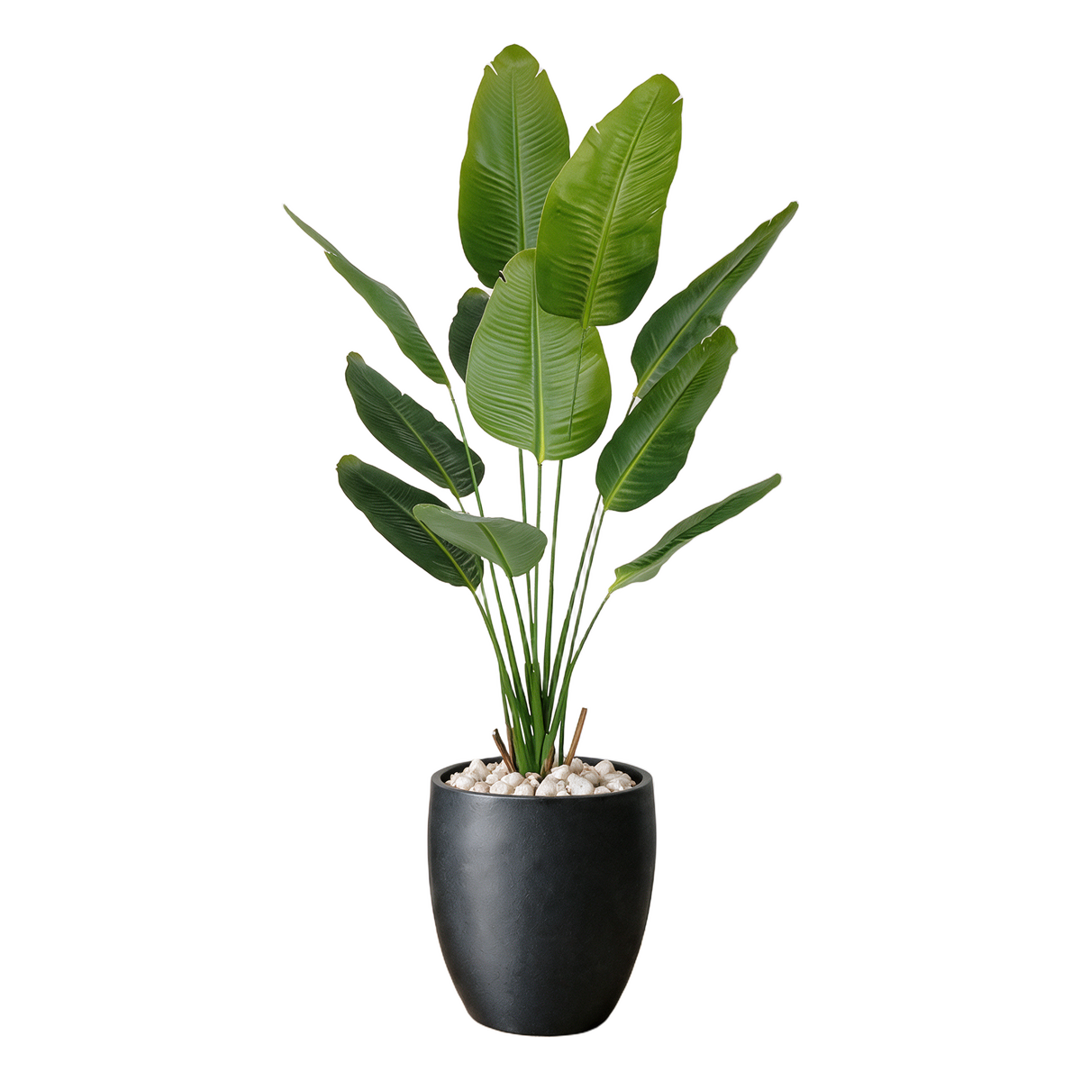 Strelitzia Deluxe 180 cm vist i dekorpotte med dekorstein