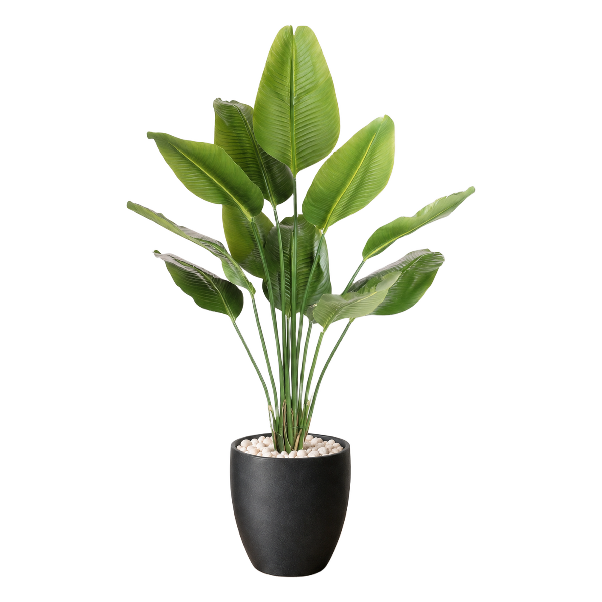 Strelitzia 150 cm vist i dekorpotte med dekorstein