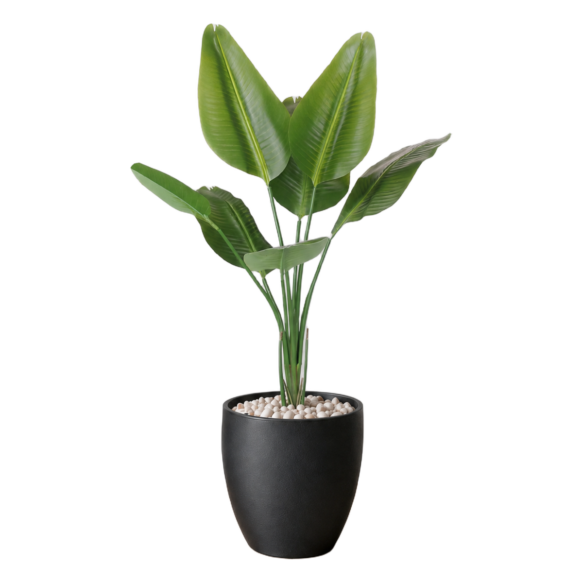 Strelitzia 120cm vist i dekorpotte med dekorstein