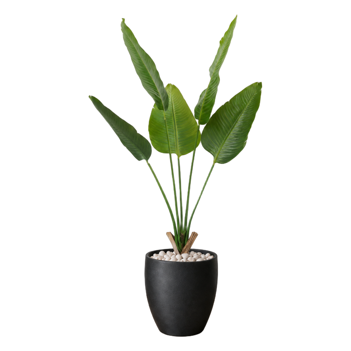 Strelitzia Deluxe 120 cm vist i dekorpotte med dekorstein