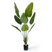 Kunstig Sterlitzia Deluxe 150 cm