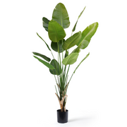 Kunstig Sterlitzia Deluxe 210 cm